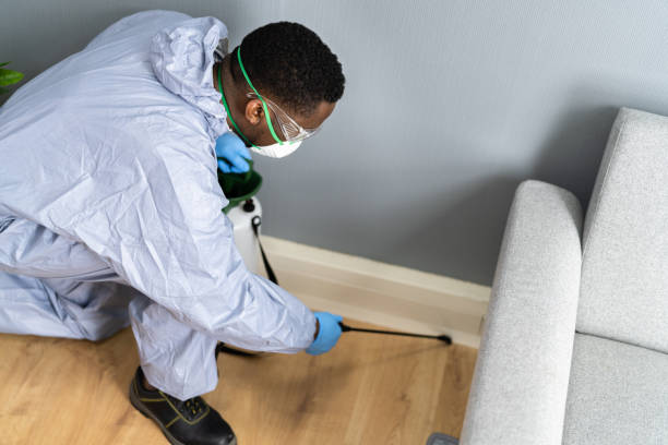 Best Pest Control for Multi-Family Homes  in Merriam, KS